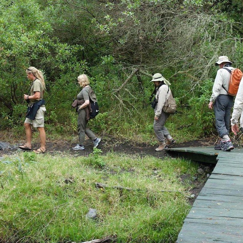 arusha national park walking (1)