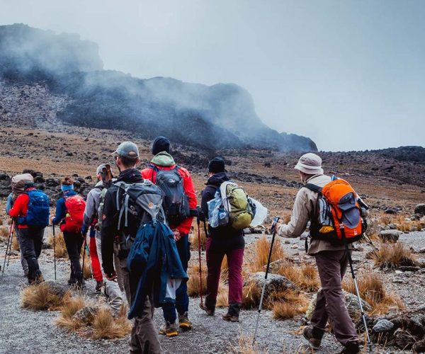 lemosho route kilimanjaro