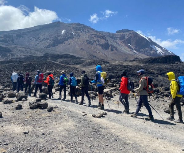 marangu trekking