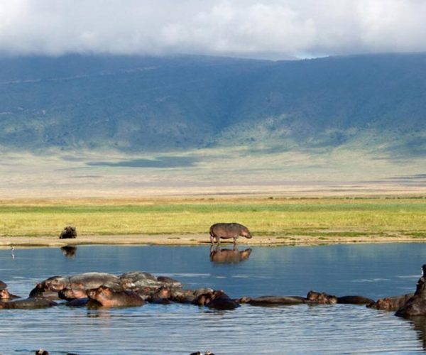 ngorongoro area