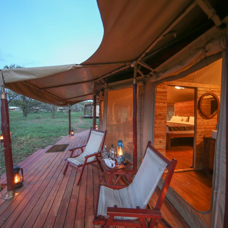 serengeti luxurr