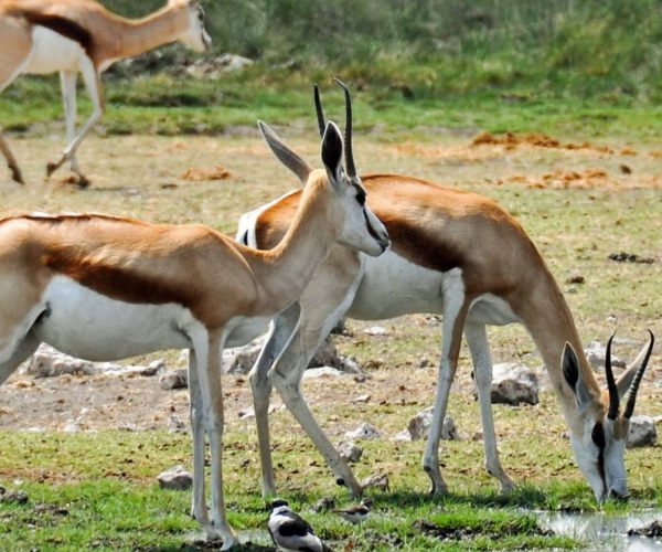 tarangire national park